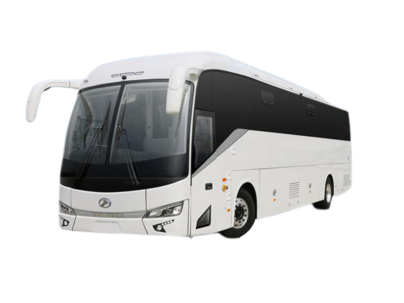 KING LION - XMQ6900D